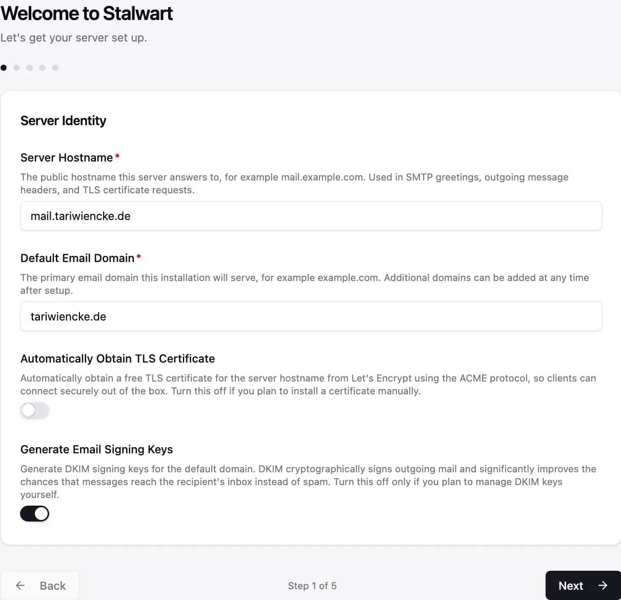 Stalwart-Setup-Wizard, Schritt 1: Server Hostname mail.tariwiencke.de, Default Email Domain, TLS-Zertifikat aus, Signing Keys an