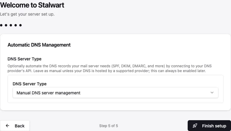 DNS-Management-Schritt: Auswahl zwischen Manual und automatischer Verwaltung über einen DNS-Provider